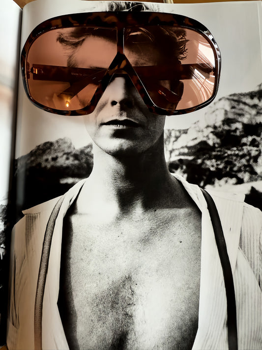 OVERSIZED SUNGLASSES